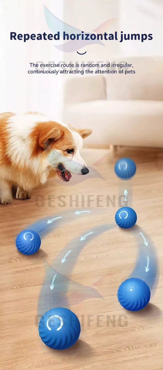 Smart Interactive Pet Toy Ball 🐾