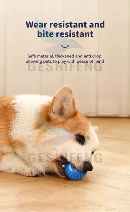 Smart Interactive Pet Toy Ball 🐾