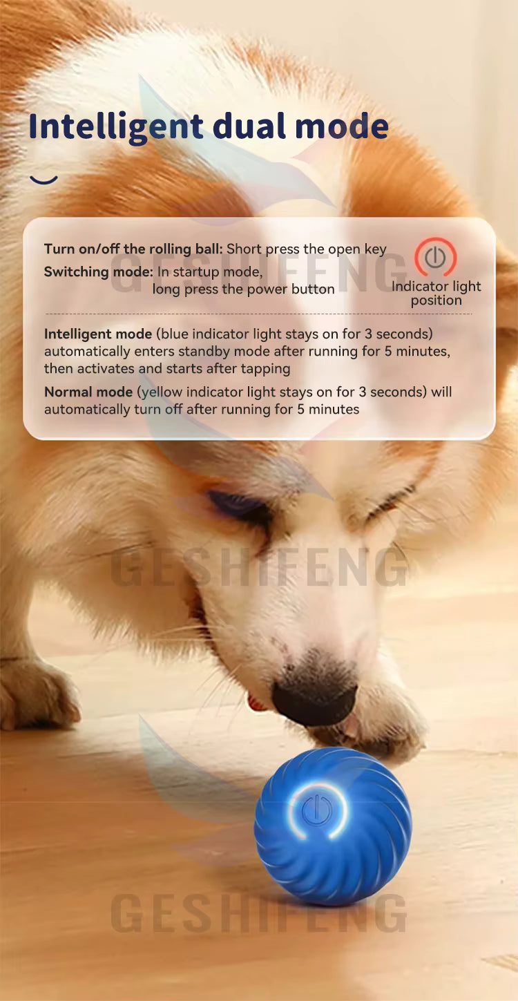 Smart Interactive Pet Toy Ball 🐾