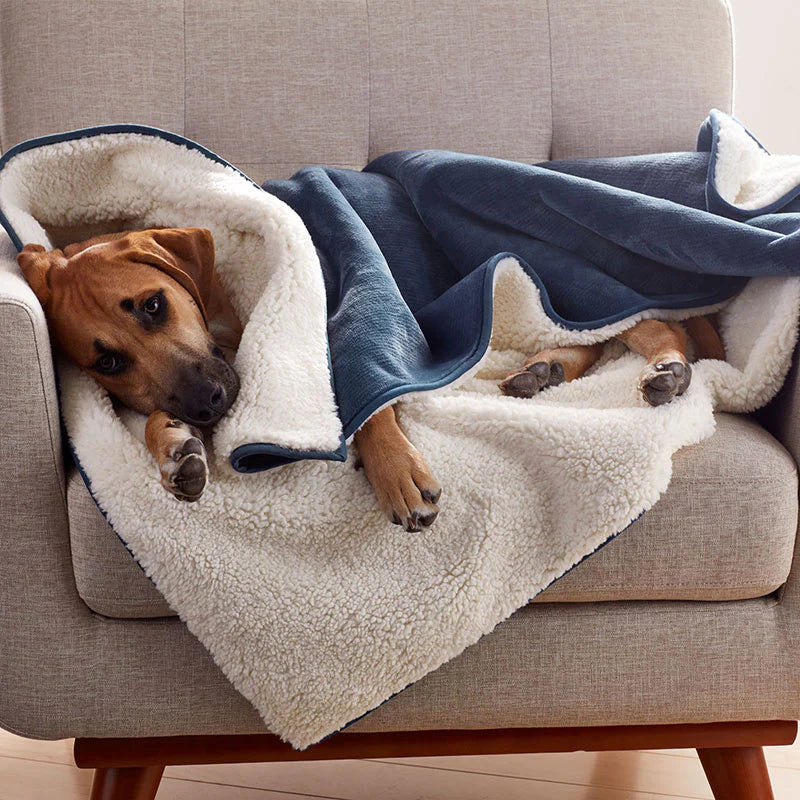 Ultra-Soft Calming Pet Blanket