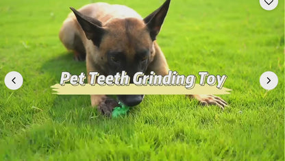 Ultimate Dental Care Dog Chew Toy