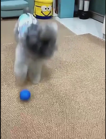 Smart Interactive Pet Toy Ball 🐾